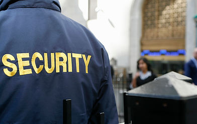 Security Detail