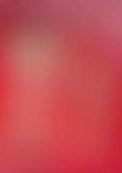 今年もやります!Rouge Roppongiのクリスマスメニュー!