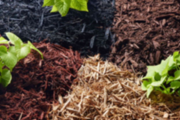FOB Finished Bulk Landscape Mulch