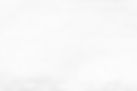 White Vintage Paper (7).jpg