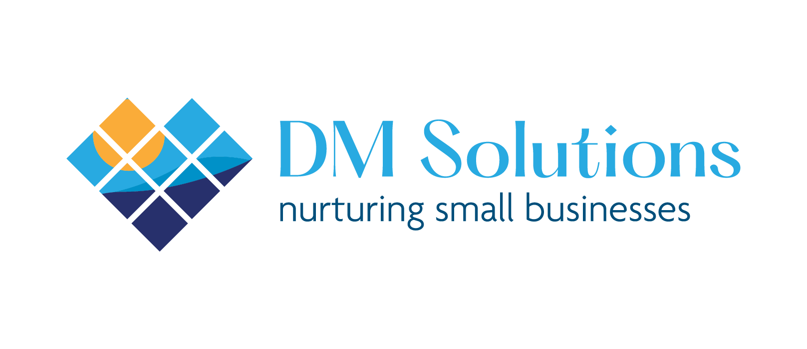 DM Solutions_Horizontal - Color.png