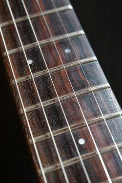 TokaiSD653BBR_DS7_4325