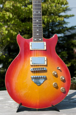 MR1000_DSC6048