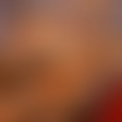 Demi-pension 2024-2025