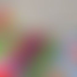 Fournitures scolaires 2024-2025