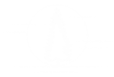 PLC-transparent.png