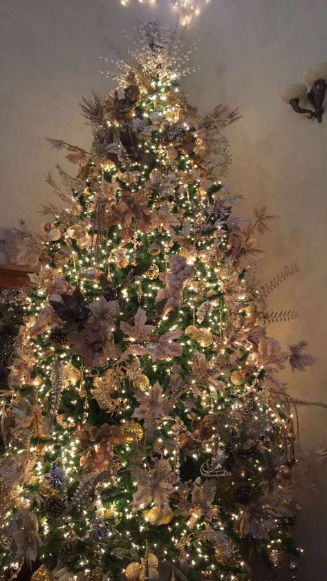 Recap of Christmas 2016