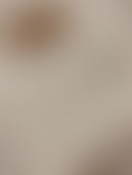 February 2019 Bullet Journal