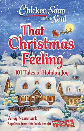 CSS-christmas-feeling cover.jpg