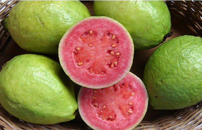 Guava