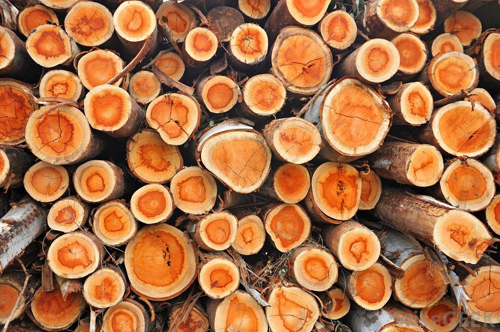 stack-of-cut-wood