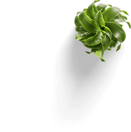 5bfd15cac1e7a39750d52d27_Flower%20(1)-p-