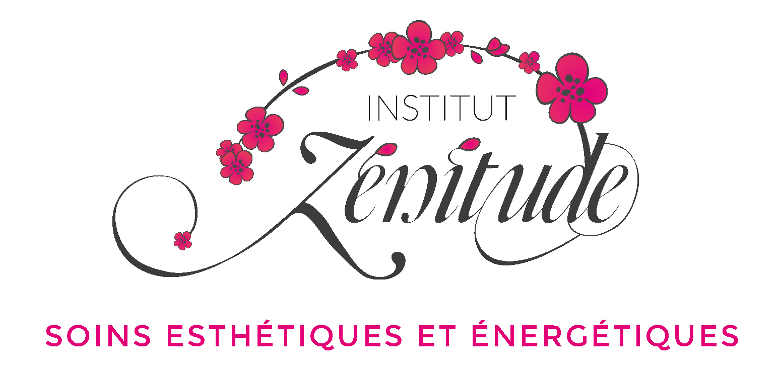 InstitutZenitude-LOGO 2.gif