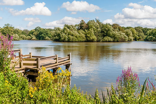 Essex, England, UK - August 11, 2019: Co