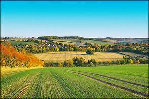 View - Eynsford Kent.jpg