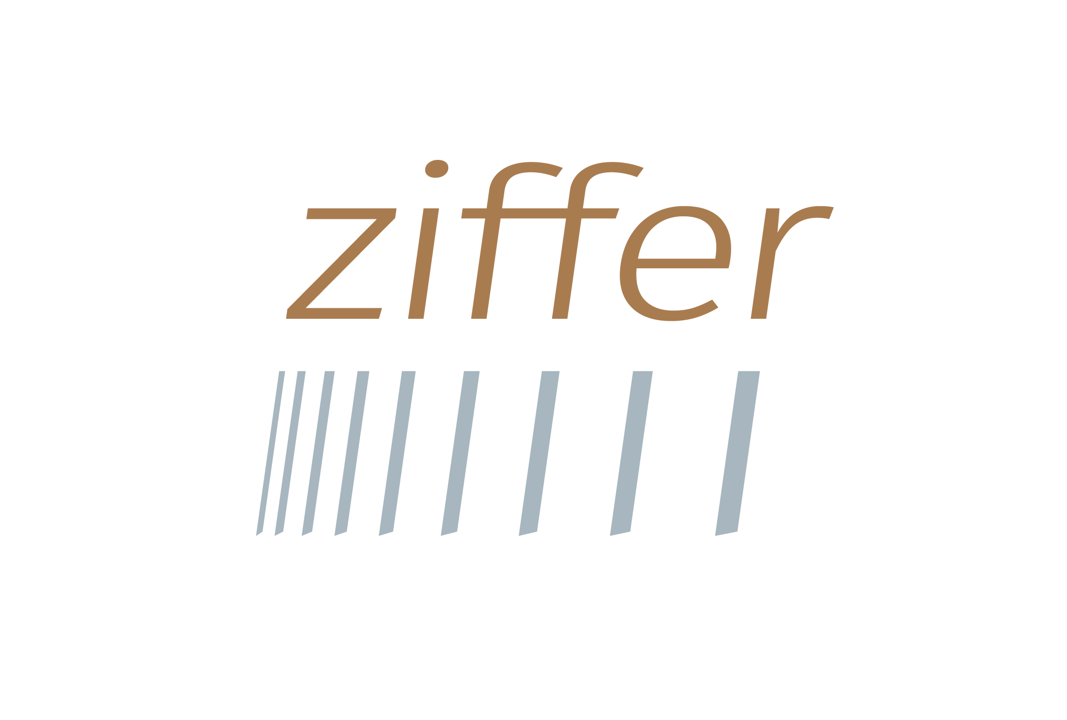 Foto do escritor: Ziffer Expertise Comercial