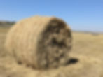 Hay Bale