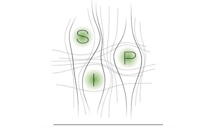 Il Modello Integrato in Psicoterapia