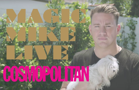 Magic Mike Live Announcement