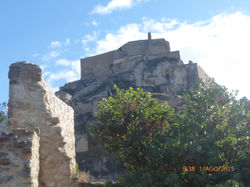 Morella
