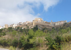 Morella
