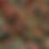 Thumbnail: Star Ixora