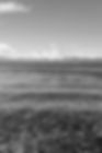 pexels-deise-elen-2149983761-36498137 (1)_edited.jpg