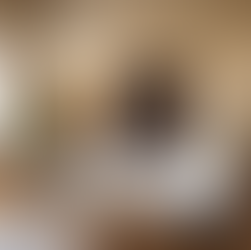 Professional interior design service project in Belgrade showing modern office and residential layout with premium furniture by Zios Studio