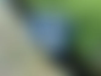 電動車いす、3年で11人死亡 消費者事故調が注意喚起