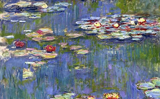 water-lilies-40-945x584.jpeg
