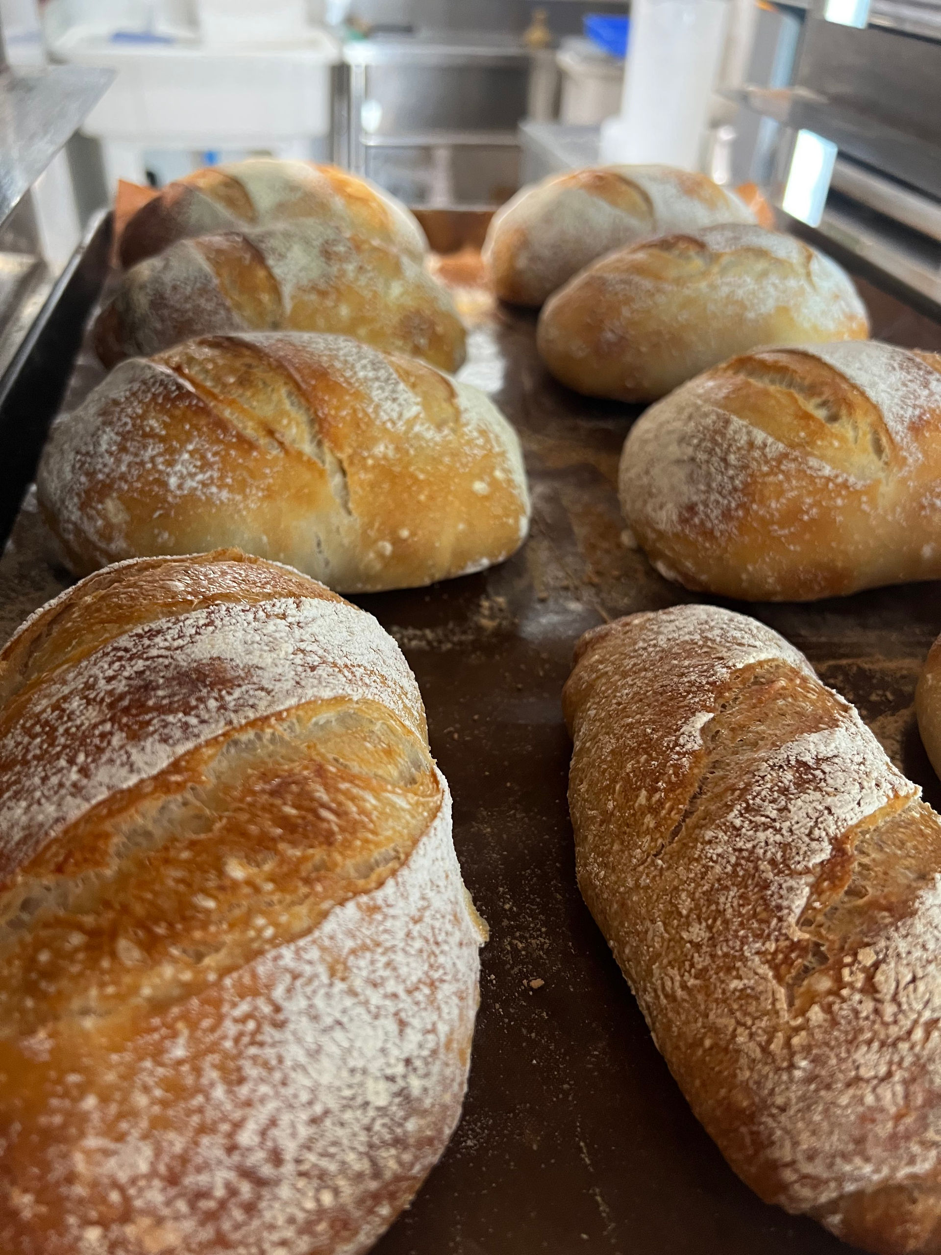 Plain sourdough 原白酸刀