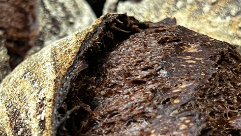 初七出爐 29AUG fresh bake