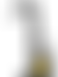 Moving Mast vs Pantographic Reach Forklift