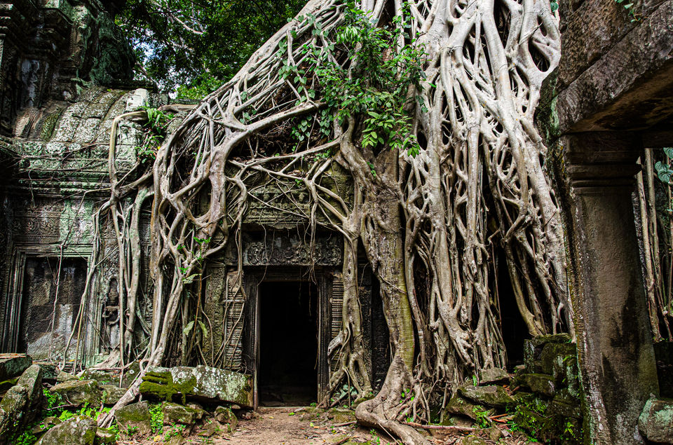 Ta Prohm