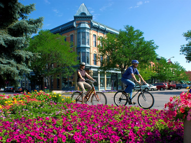 Fort collins primary vs non-primary residence short term rentals