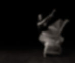 Tracy Martin Photography