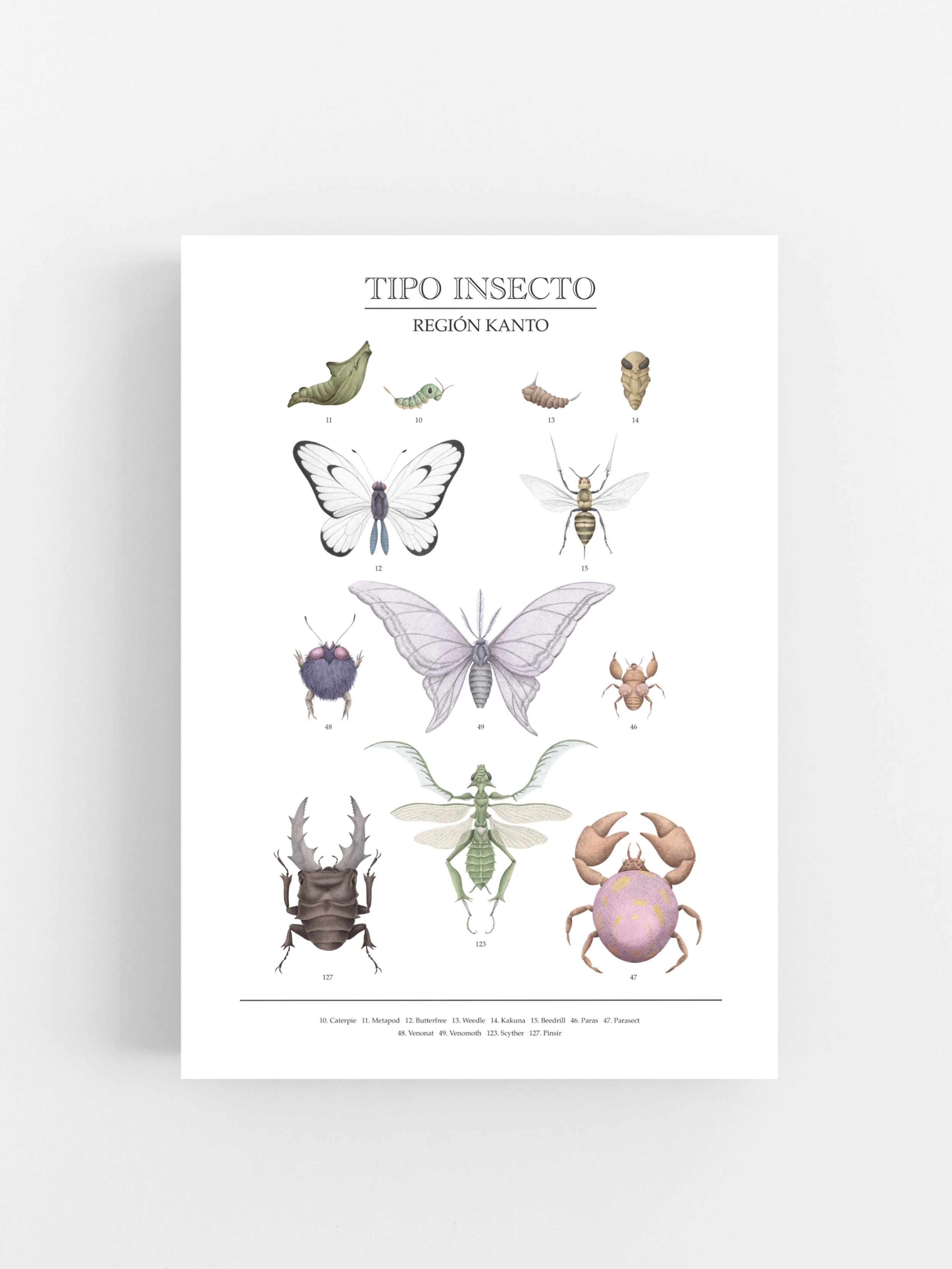 Kanto Insects