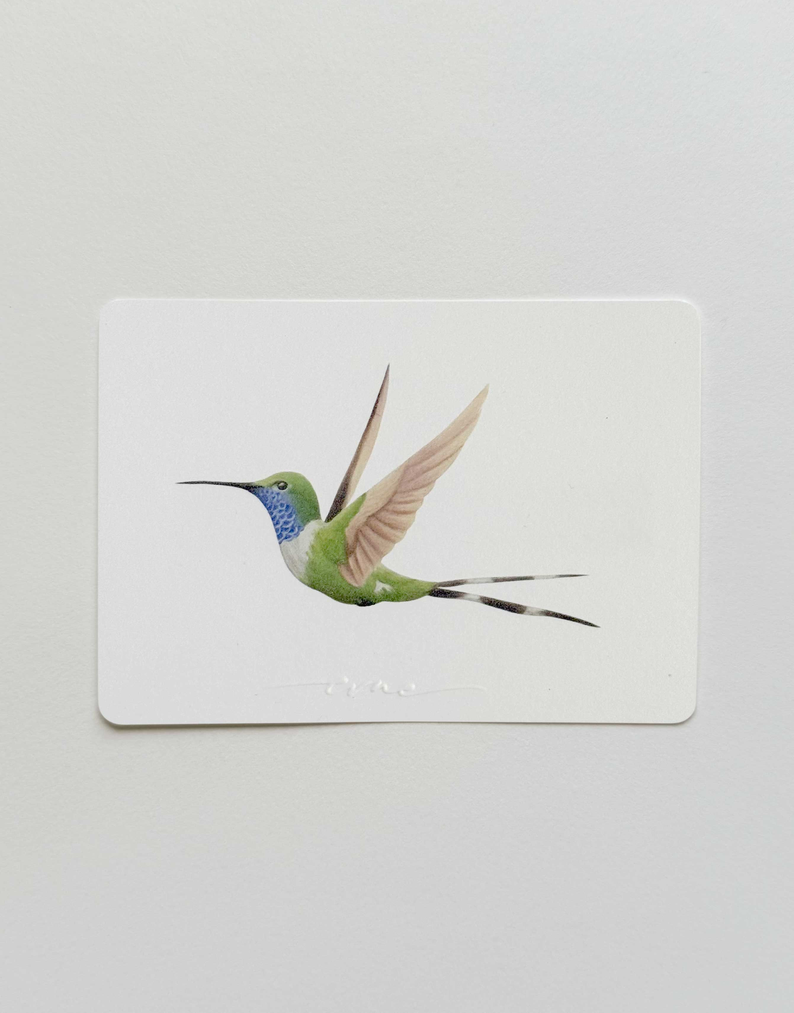 TC Colibrí