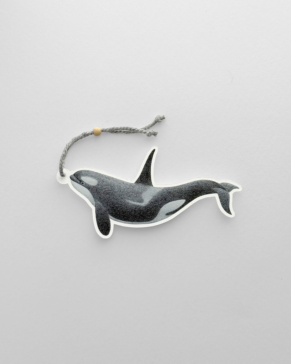 Miniatura: S. Orca