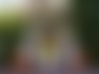 Casa Romantica is Steadily Coming Back to Life After the 2023 Landslide