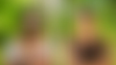 Surviving the Arduous Process of Surviving On 'Survivor'