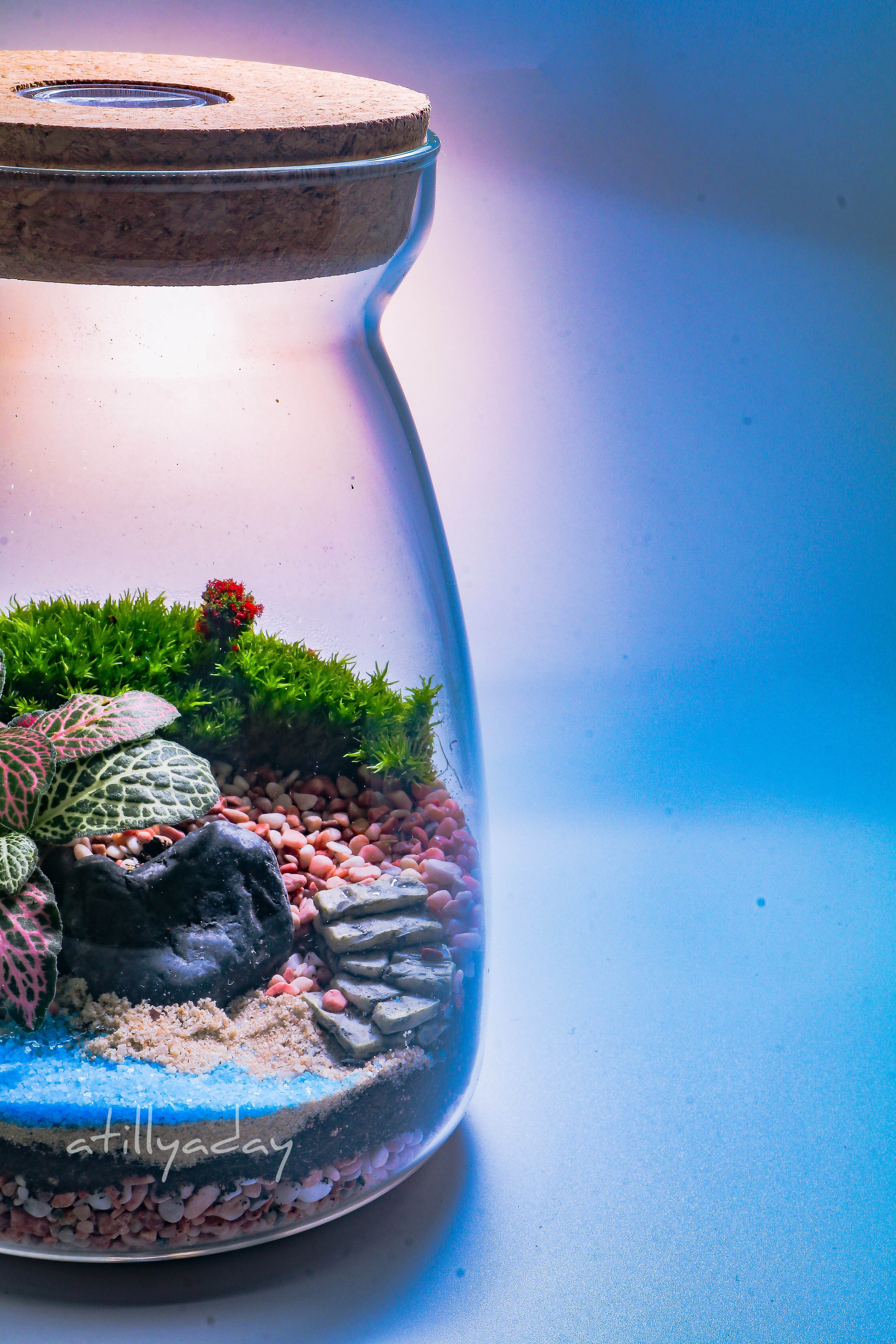 Customised Closed Terrarium Glass Jar