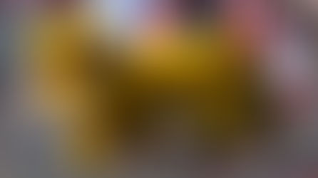 Celebrating Tết and Lunar New Year in Orange County: Community, Culture and New Traditions in 2026