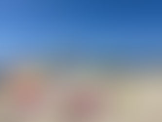 Laguna Art Museum's 12th Art and Nature Festival Seeks to Raise Environmental Awareness