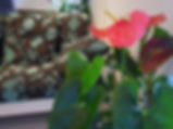 R0011456.jpg
