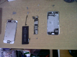 IMG02816-20140911-2220