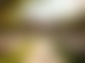 Top Event Planning Tips for Memorable Celebrations