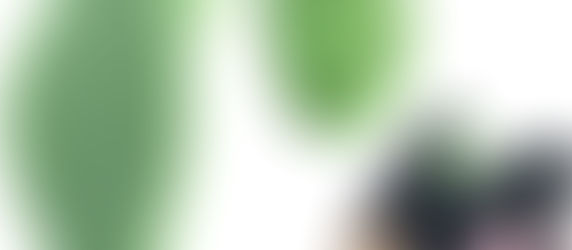 Kegel exercise, inner thigh exerciser, thigh exerciser, pelvic floor muscle trainer.