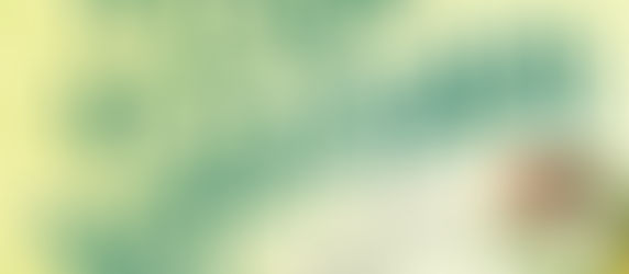 How to Catch a Leprechaun: A Saint Patrick's Day Book for Kids Hardcover – Picture Book, February 2, 2016