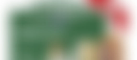 CURAD Assorted Bandages Variety Pack, 300 Count, 6 Styles Including Antibacterial, Waterproof, Sheer, Plastic, Heavy Duty & Flex-Fabric, Protects Scrapes, Cuts & Burns, Latex-Free